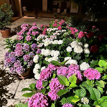 B&B Le Ortensie Castagnole Ngoại thất bức ảnh
