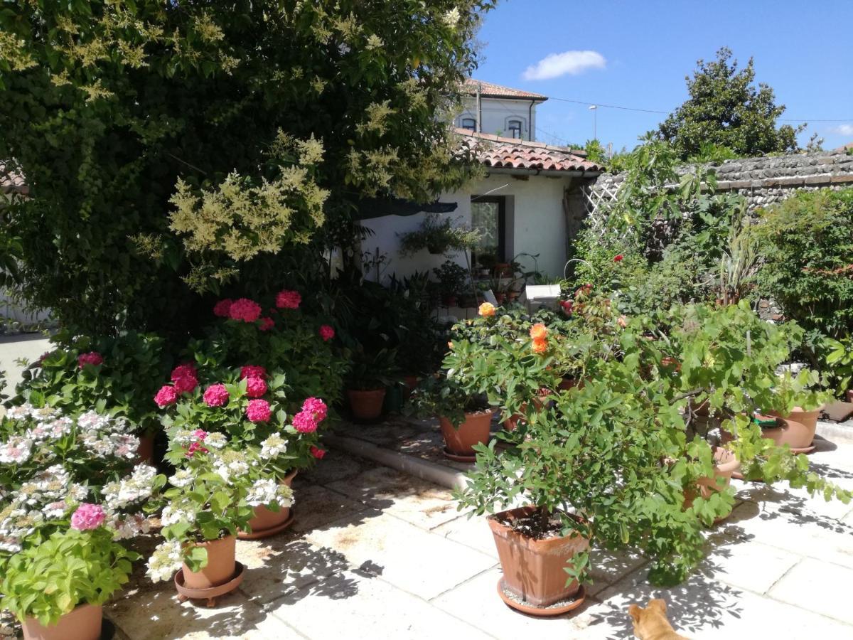 B&B Le Ortensie Castagnole Ngoại thất bức ảnh