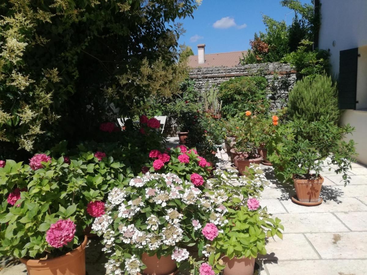 B&B Le Ortensie Castagnole Ngoại thất bức ảnh